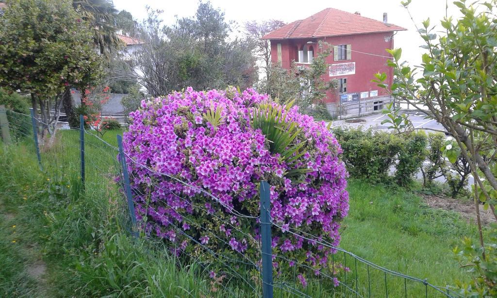 Vanni'S House Cannobio Exterior photo